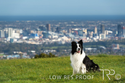 July 2021 / BOW_WOW_210713_135