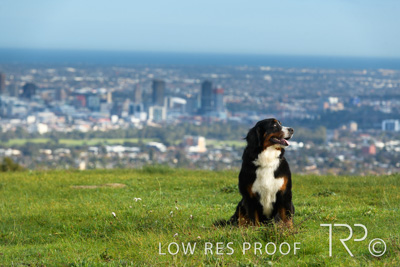 July 2021 / BOW_WOW_210713_137