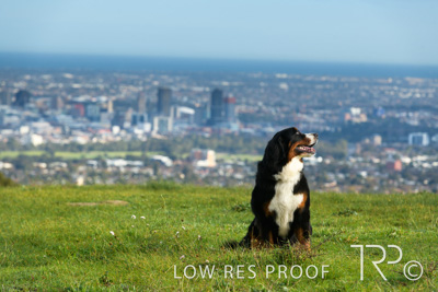 July 2021 / BOW_WOW_210713_138