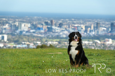 July 2021 / BOW_WOW_210713_147