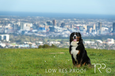 July 2021 / BOW_WOW_210713_149