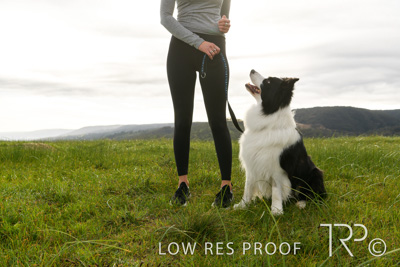 July 2021 / BOW_WOW_210713_154