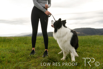 July 2021 / BOW_WOW_210713_155