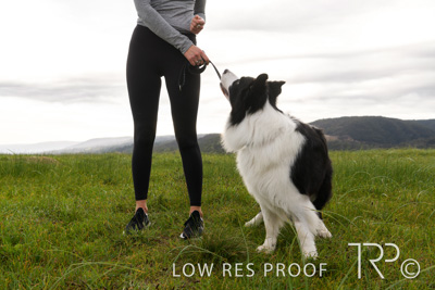 July 2021 / BOW_WOW_210713_156