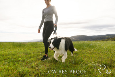 July 2021 / BOW_WOW_210713_164