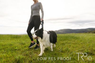 July 2021 / BOW_WOW_210713_165