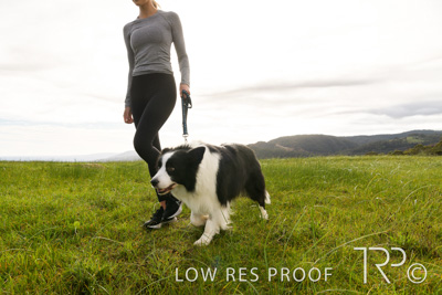 July 2021 / BOW_WOW_210713_168