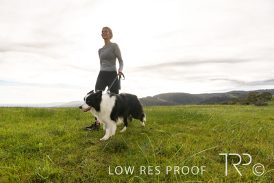 July 2021 / BOW_WOW_210713_174