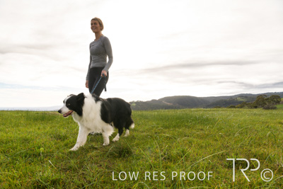 July 2021 / BOW_WOW_210713_175