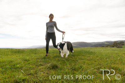 July 2021 / BOW_WOW_210713_182