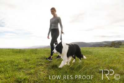 July 2021 / BOW_WOW_210713_193