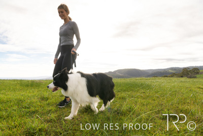 July 2021 / BOW_WOW_210713_194