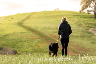 July 2021 / BOW_WOW_210713_195