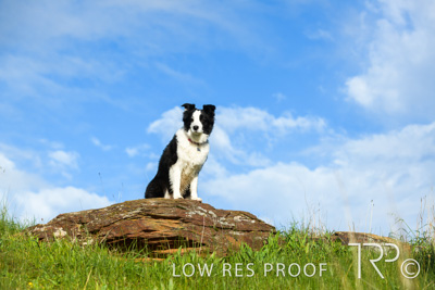 July 2021 / BOW_WOW_210713_226