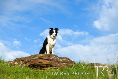 July 2021 / BOW_WOW_210713_227