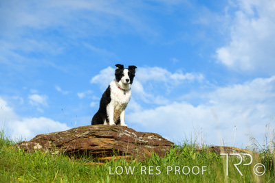 July 2021 / BOW_WOW_210713_228