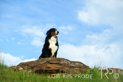 July 2021 / BOW_WOW_210713_238