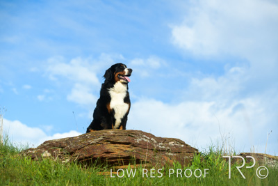 July 2021 / BOW_WOW_210713_239