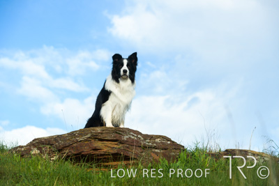 July 2021 / BOW_WOW_210713_244