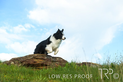 July 2021 / BOW_WOW_210713_248