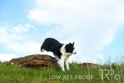 July 2021 / BOW_WOW_210713_249