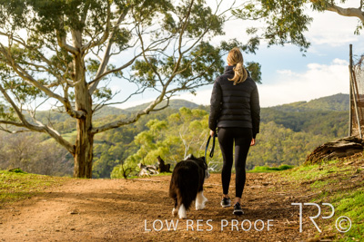 July 2021 / BOW_WOW_210713_250