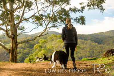 July 2021 / BOW_WOW_210713_251