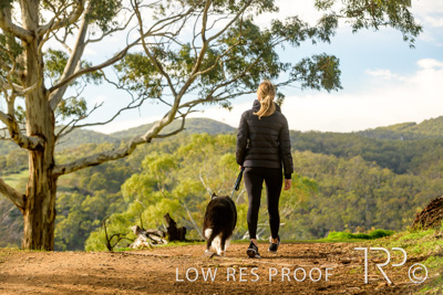 July 2021 / BOW_WOW_210713_253