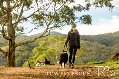 July 2021 / BOW_WOW_210713_254