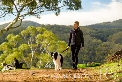 July 2021 / BOW_WOW_210713_260