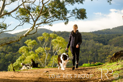 July 2021 / BOW_WOW_210713_262