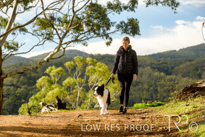 July 2021 / BOW_WOW_210713_263