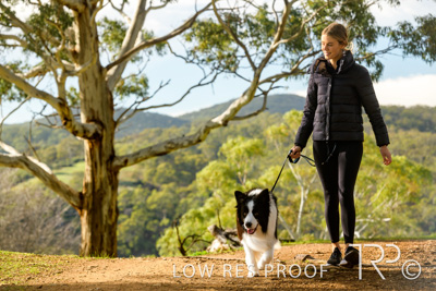 July 2021 / BOW_WOW_210713_287