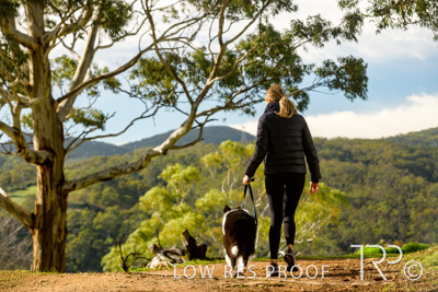 July 2021 / BOW_WOW_210713_290