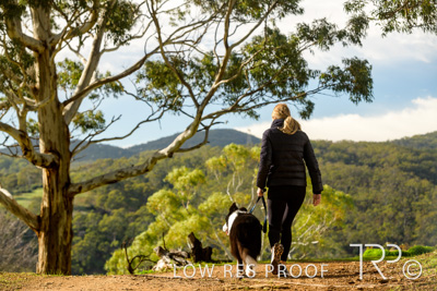 July 2021 / BOW_WOW_210713_291