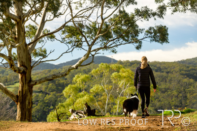 July 2021 / BOW_WOW_210713_293