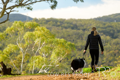 July 2021 / BOW_WOW_210713_294