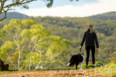 July 2021 / BOW_WOW_210713_295