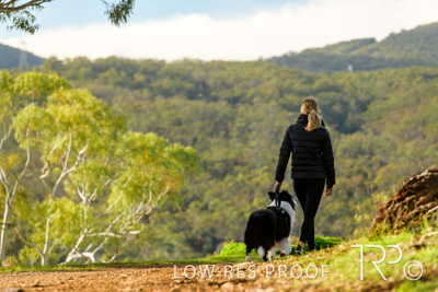 July 2021 / BOW_WOW_210713_296