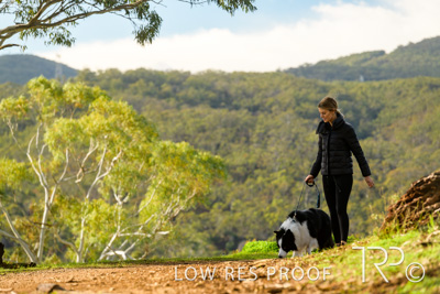 July 2021 / BOW_WOW_210713_297