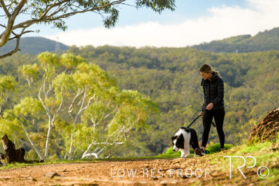 July 2021 / BOW_WOW_210713_298