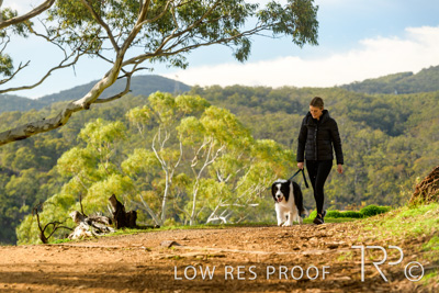 July 2021 / BOW_WOW_210713_300