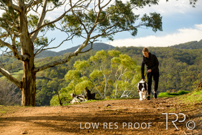 July 2021 / BOW_WOW_210713_303