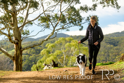 July 2021 / BOW_WOW_210713_306