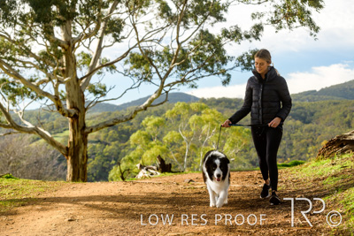 July 2021 / BOW_WOW_210713_308