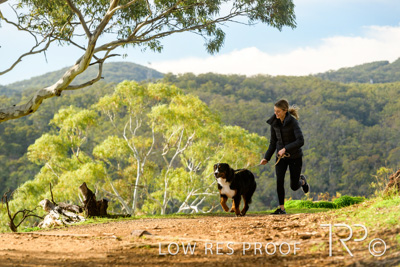 July 2021 / BOW_WOW_210713_309