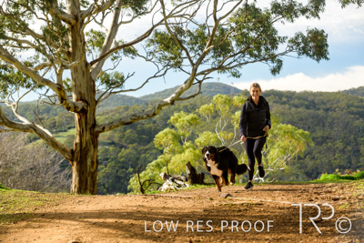 July 2021 / BOW_WOW_210713_313