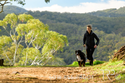 July 2021 / BOW_WOW_210713_317