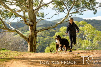 July 2021 / BOW_WOW_210713_322