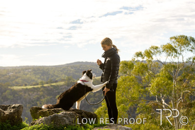 July 2021 / BOW_WOW_210713_325